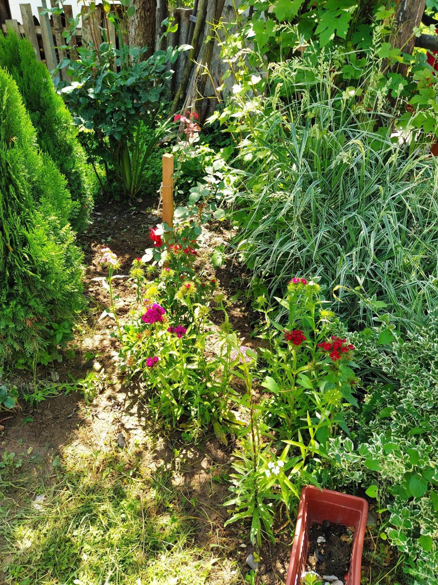 ויסוקו Guest House Bee מראה חיצוני תמונה