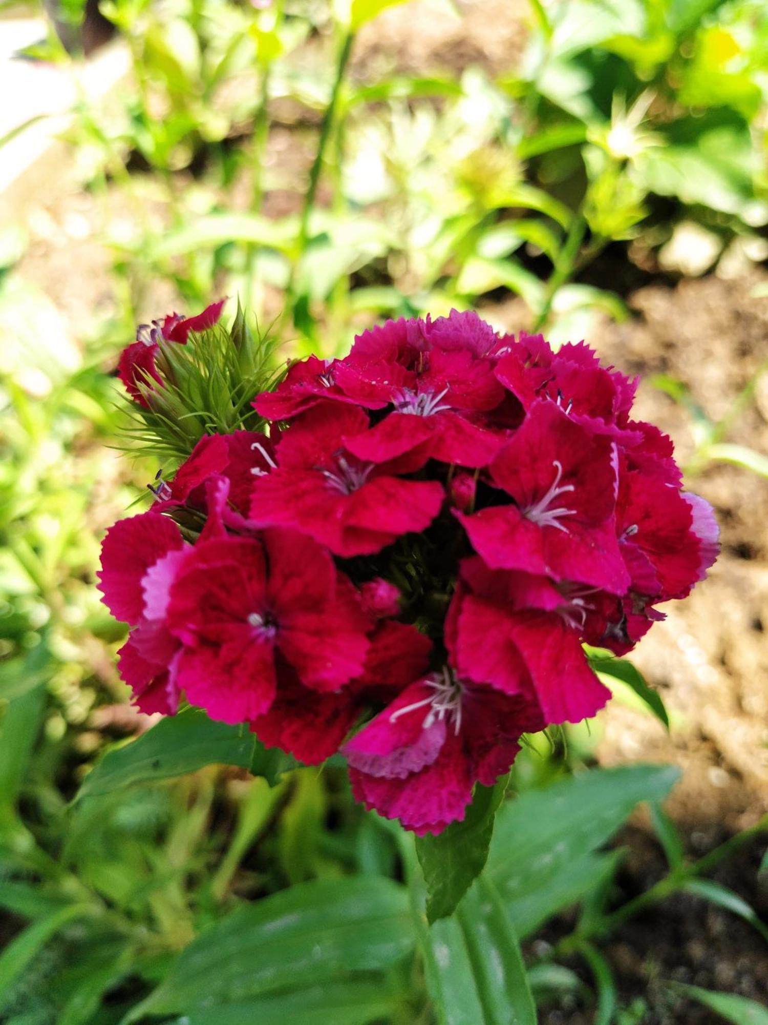 ויסוקו Guest House Bee מראה חיצוני תמונה